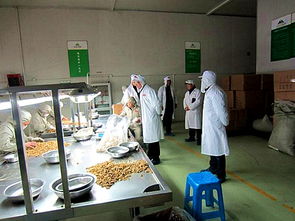金海社區(qū)多措并舉，筑牢節(jié)前食品生產(chǎn)企業(yè)安全防線