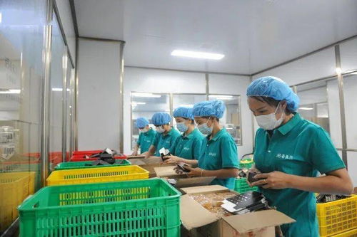 濃濃中秋情，感恩志愿者 愛(ài)心企業(yè)慰問(wèn)市城區(qū)疫情防控志愿者與食品添加劑生產(chǎn)從業(yè)者