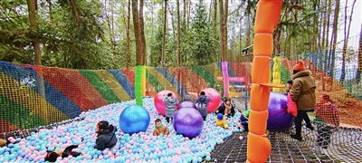 忠州日報 | 春節長假出行指南 鄉村游、露天樂園成市民熱門選擇