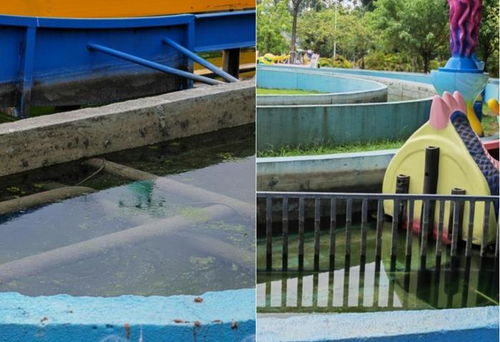 福建省消委會發布兒童游樂場所測評報告 遛娃場所暗藏消費風險與設備隱患